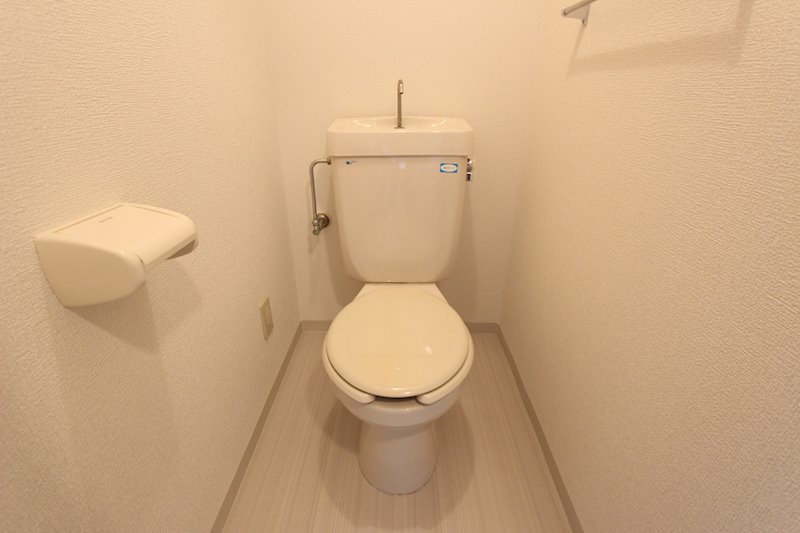 プロミネント  その他3