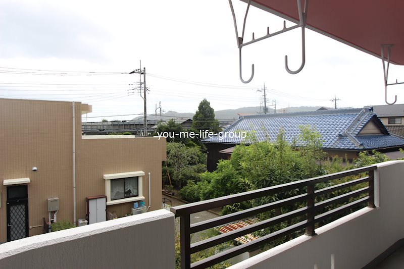 プロミネント  その他4