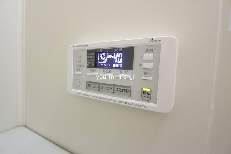 プロミネント  その他8