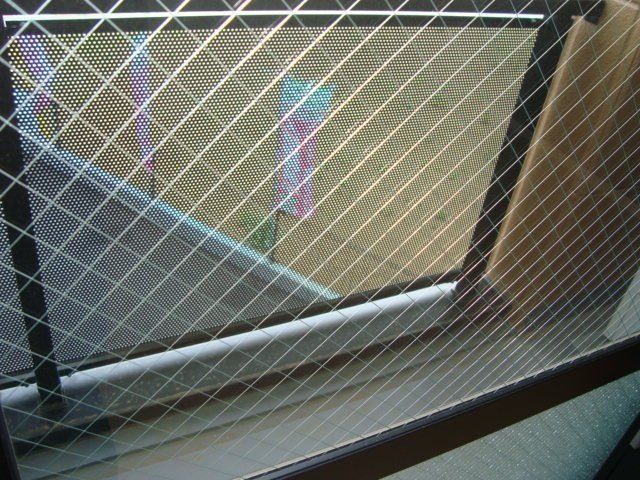 レグルス ベランダ