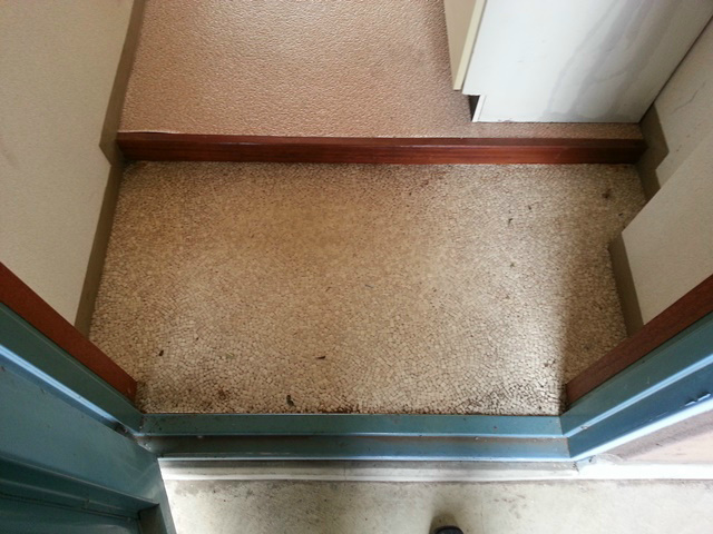 メゾン・ド・ブラン東海大学前 玄関