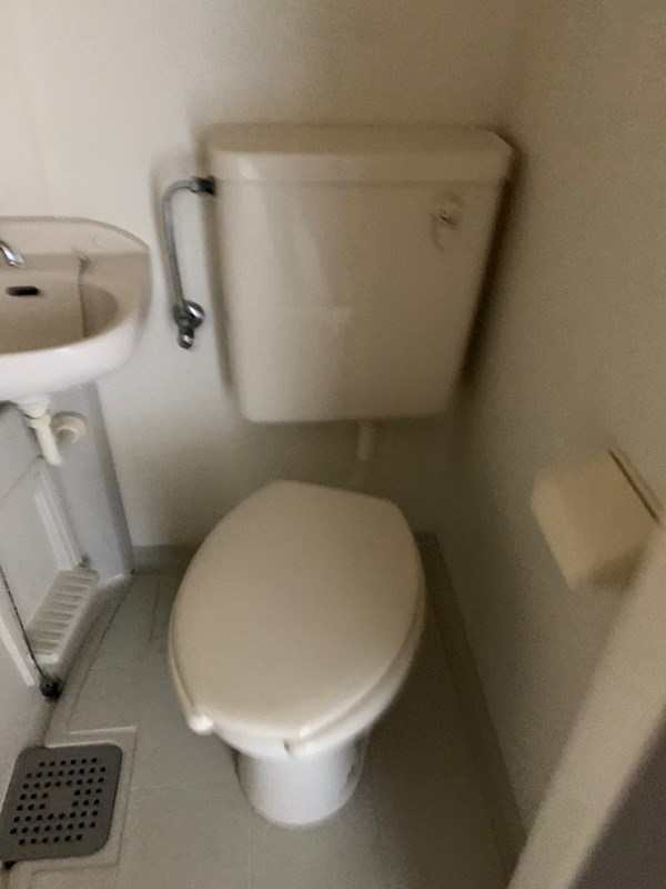 さつきⅡ その他4