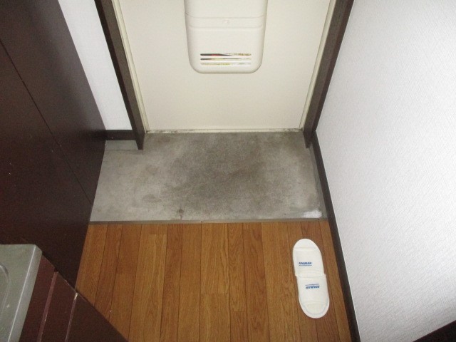 ステップハイツ 玄関