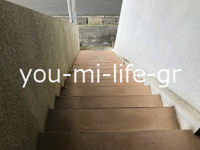 ハイツにのみや その他外観1