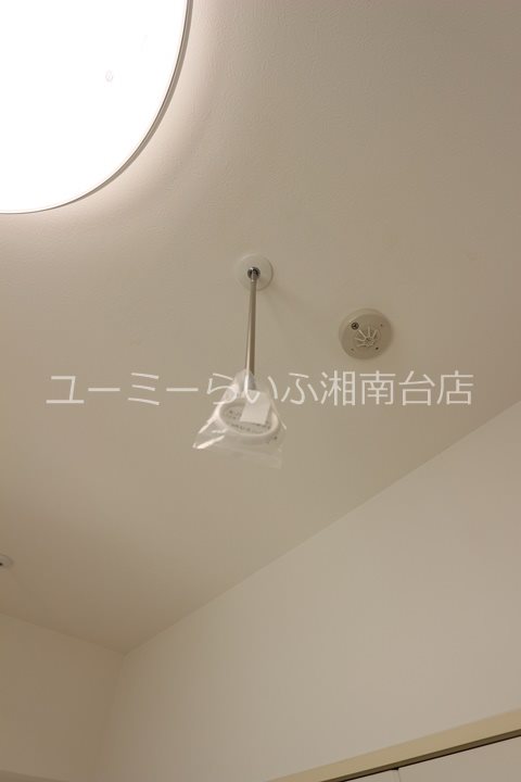 esperanza桜（エスペランササクラ） その他7