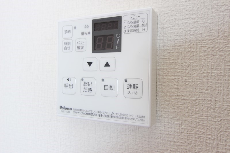 デネブ・スワン その他6