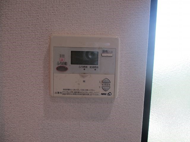 エバーグリーン その他5