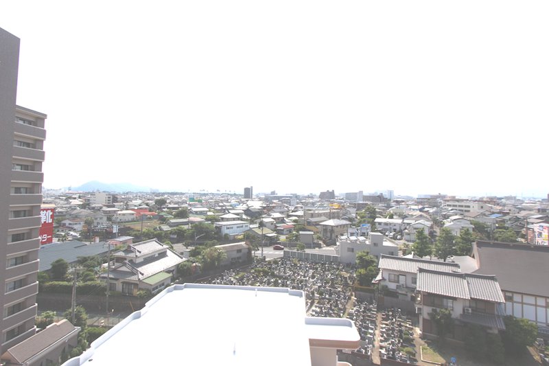 デネブ・スワン その他9