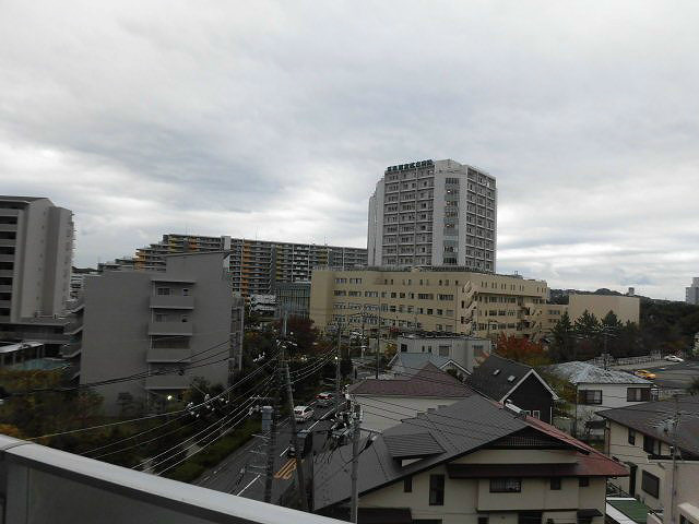 エクセラ鎌倉植木 その他7