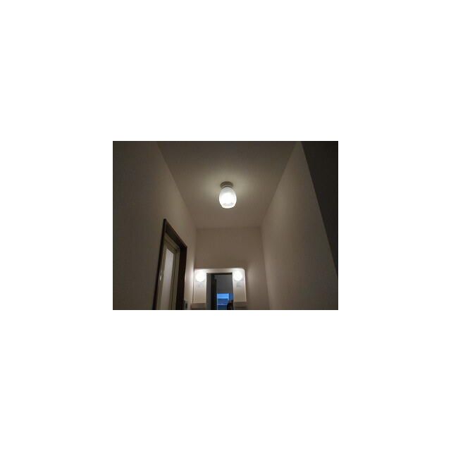 アムール柳川 その他6