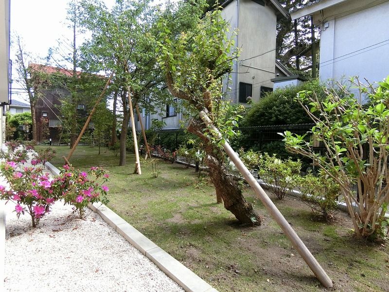 坂の下ハウス その他17
