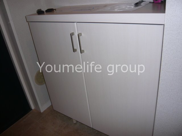 タウンコート湘南 玄関