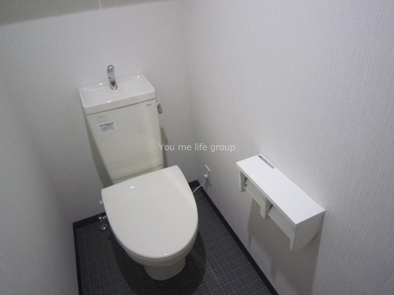 ヴィルドミール その他4