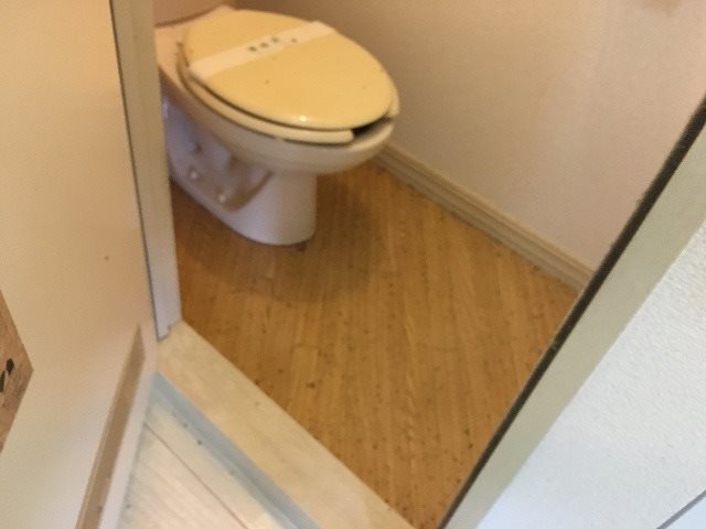 フレグランスM その他1