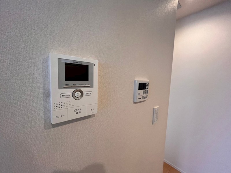 エバーグリーン その他5