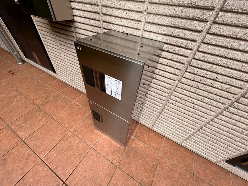 エバーグリーン その他6