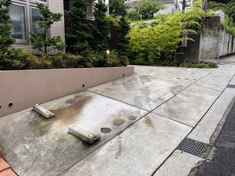 エバーグリーン その他7