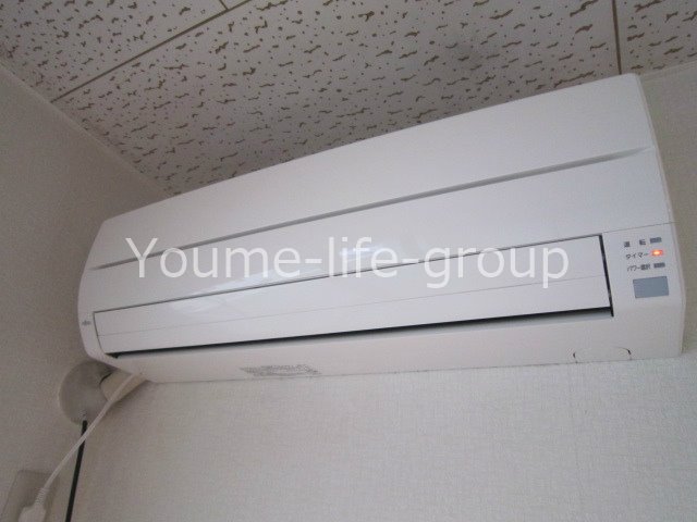 フリージア その他1