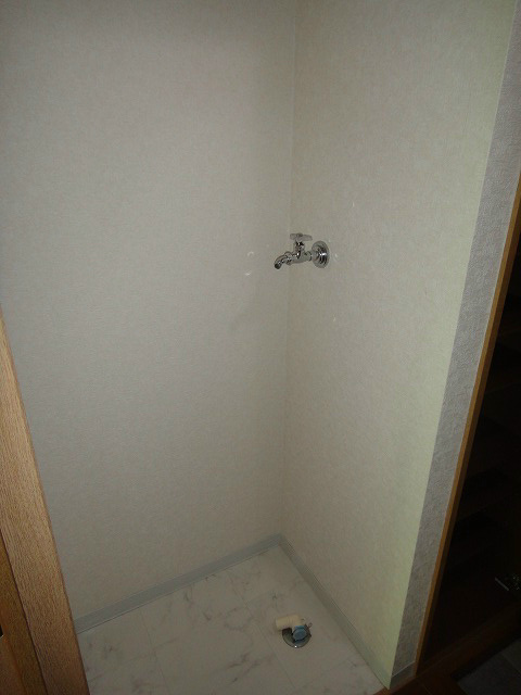 セレステディオーサ その他2