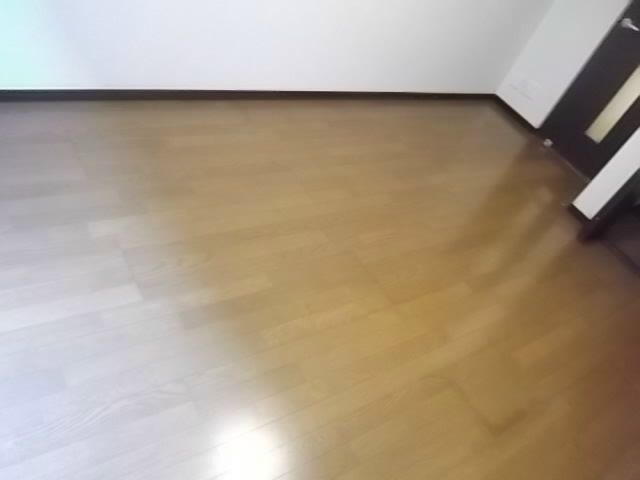 ラズベリーリーフ その他3