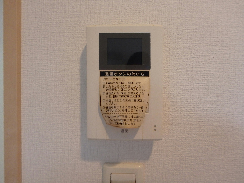 アンモードイグサ1 その他1