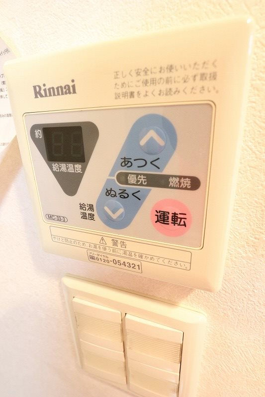 アネシス   その他6