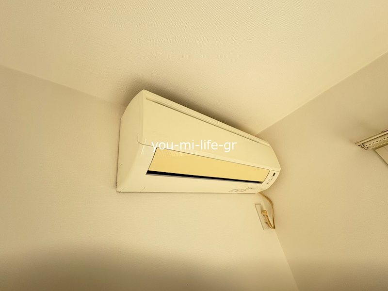 レラ　パセオ その他7