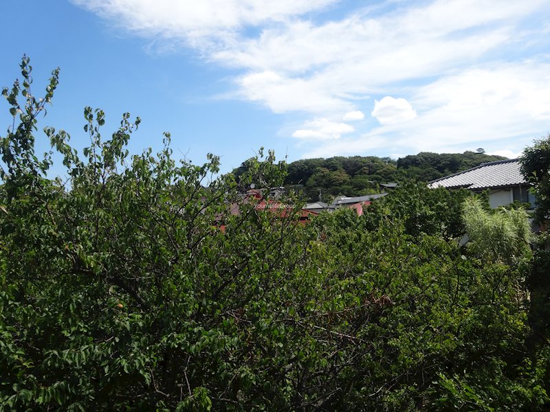 大山荘 その他3