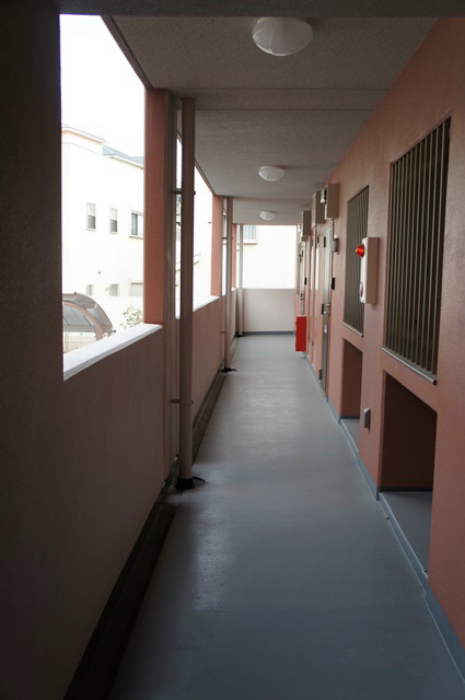 il　compagnoⅢ（イルコンパーニョ3） その他5