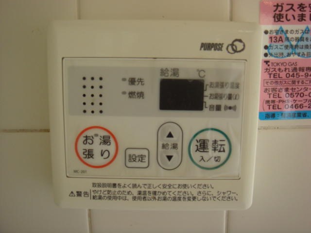 ビラツボサキ その他3