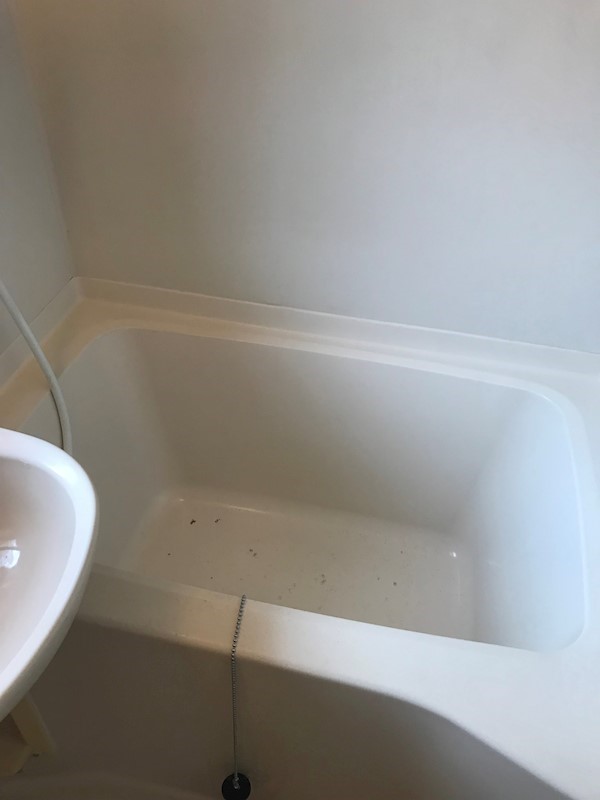 バス ルーチェ湘南 風呂画像