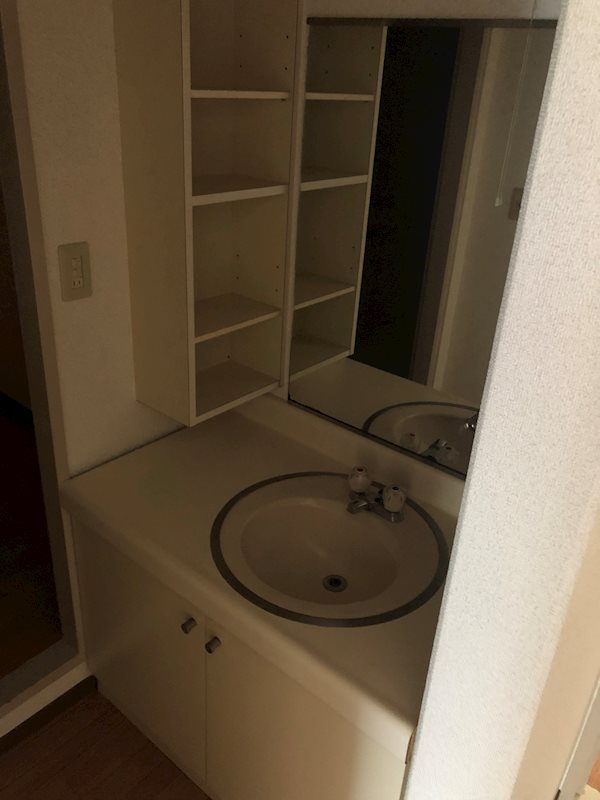 エレーヌ水澤 その他2