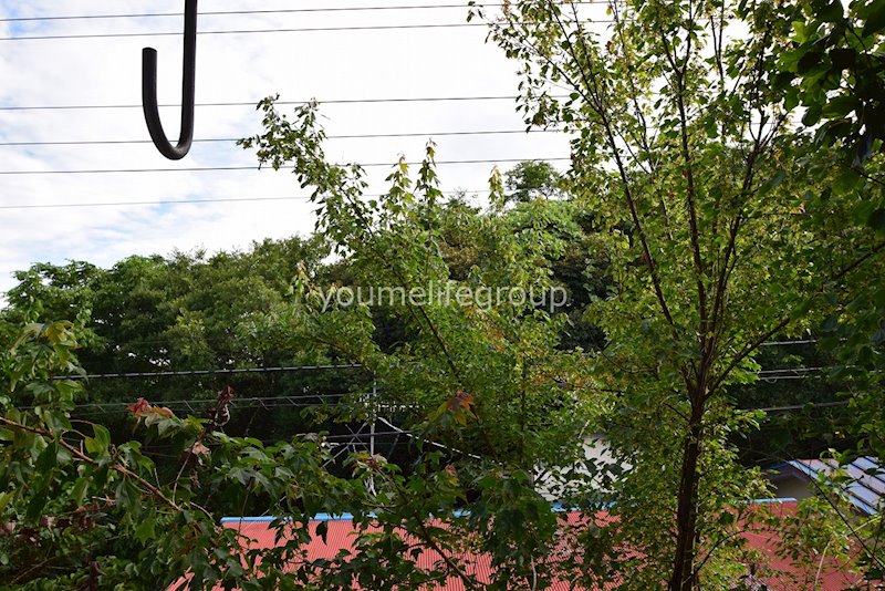 望洋荘 その他2