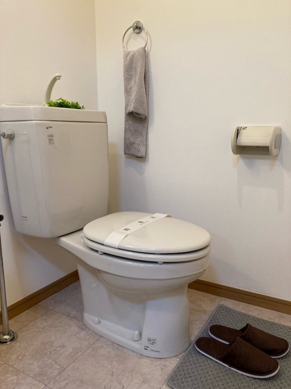 ルピナス その他2