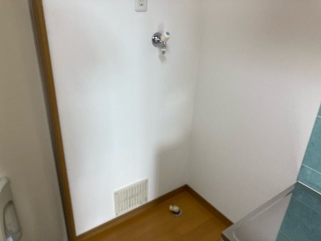 ルピナス その他7