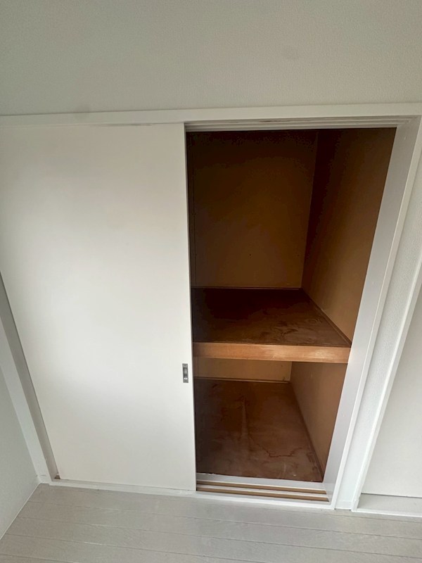 ラドウィンズ その他6