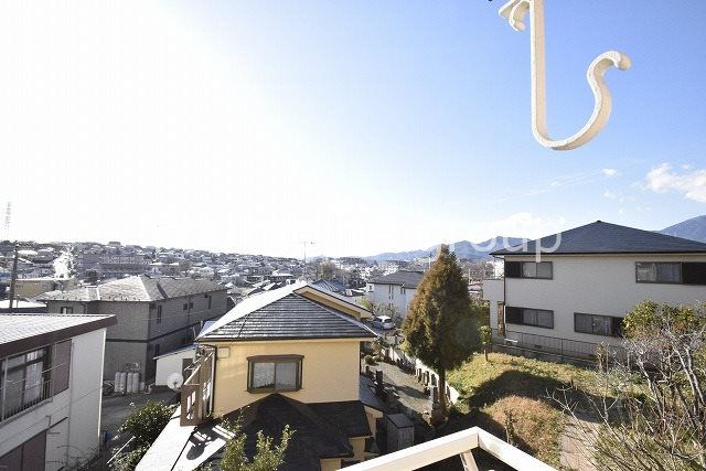 カンパニュラ その他4