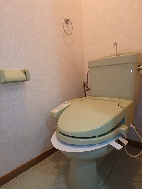 ドミール五番館 その他2