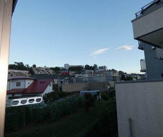 オリエンタルコート その他2