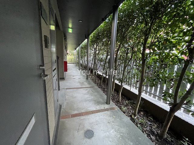 ピソリドウ その他外観6