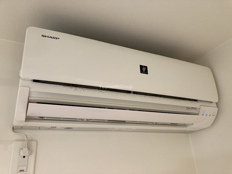 プロシード1055館 その他4