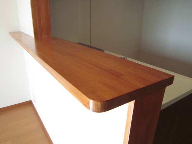 スターシップ その他7