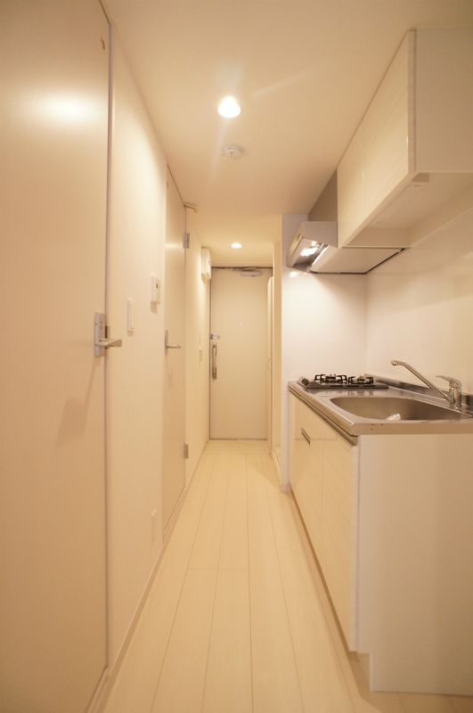 リブリ・Pule その他6