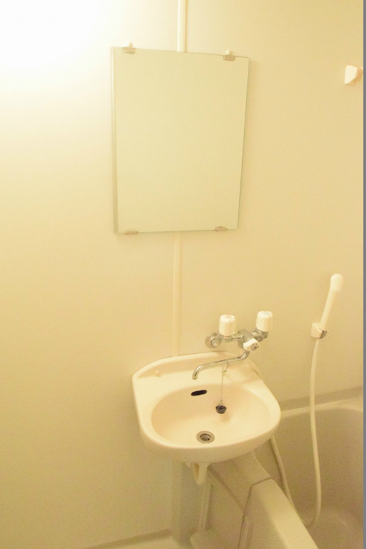 アムール白樺 その他3