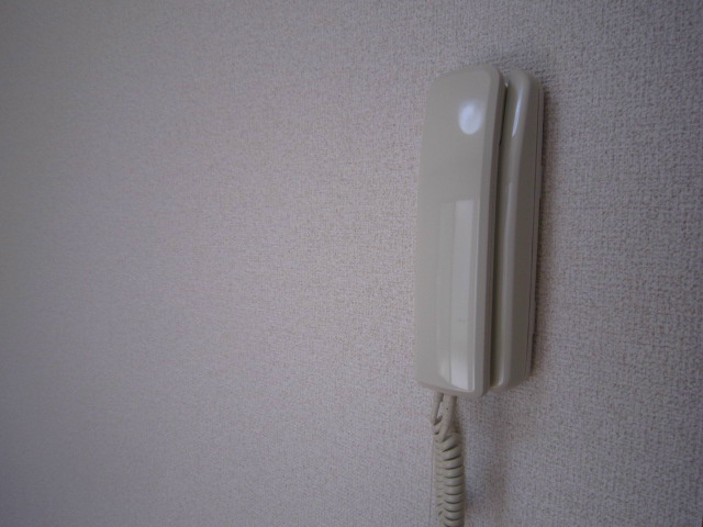 アムール白樺 その他4