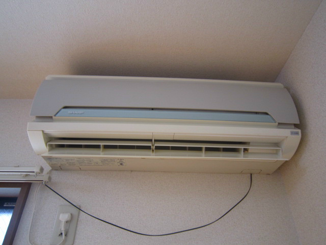 アムール白樺 その他6