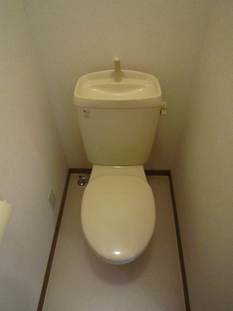 アムール白樺 玄関