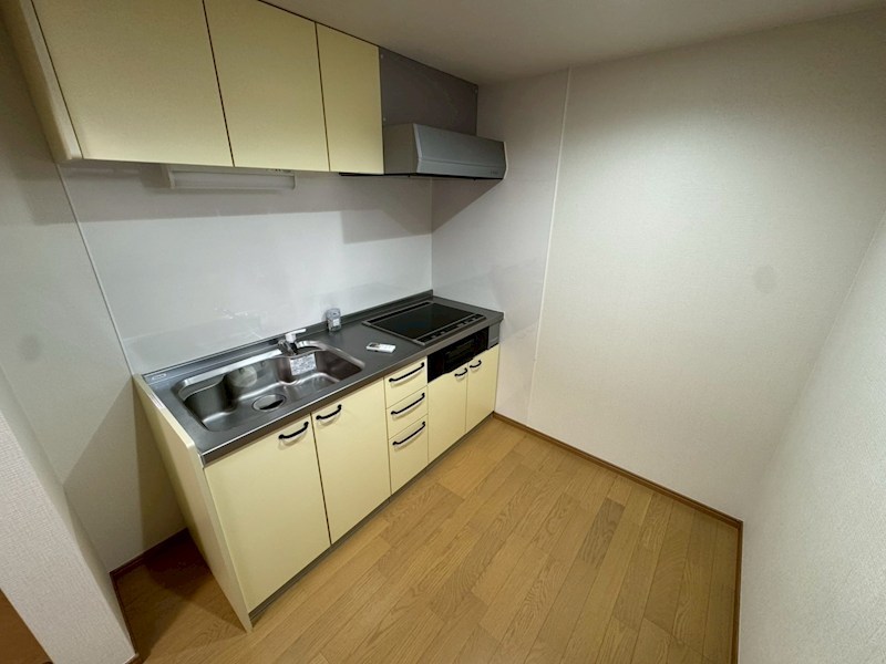 レパード板戸 キッチン