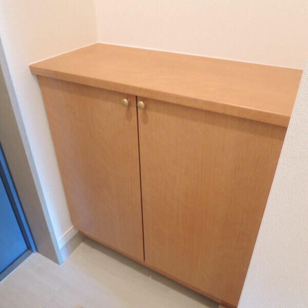 アルカサーノ湘南 玄関