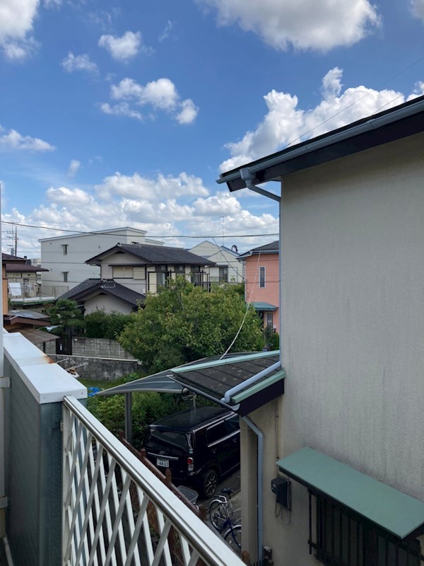 パインウェイブ その他2